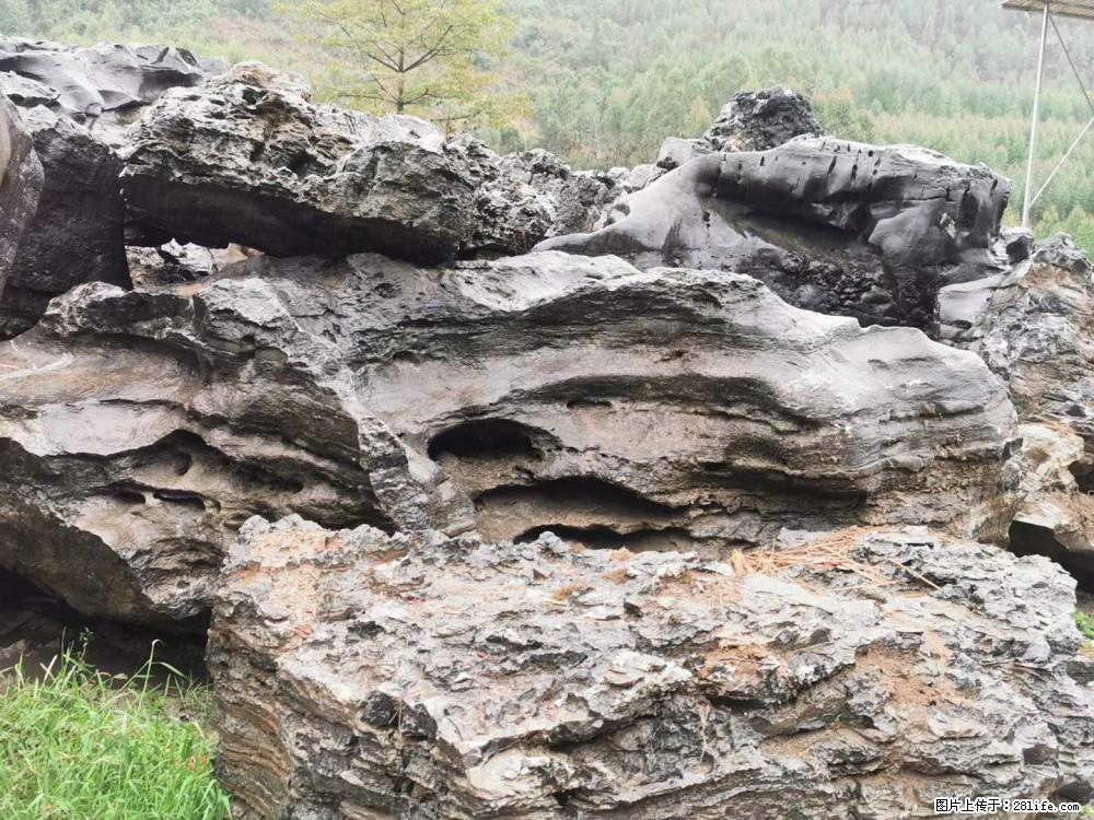 风景石、假山石大量有货，有需要的欢迎联系 - 新手上路 - 南平生活社区 - 南平28生活网 np.28life.net