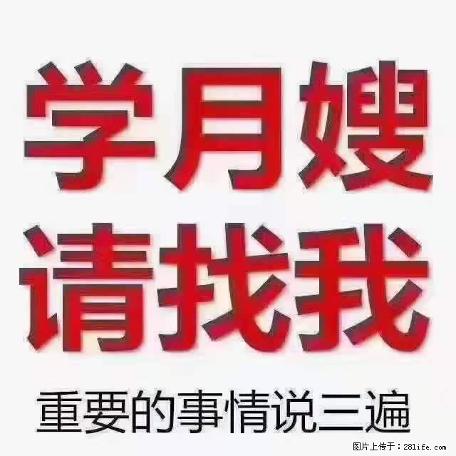 为什么要学习月嫂，育婴师？ - 新手上路 - 南平生活社区 - 南平28生活网 np.28life.net