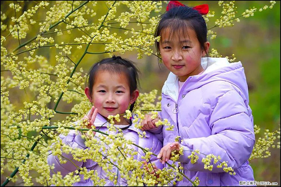 【春天，广西桂林灌阳县向您发出邀请！】米珠山前有片山苍子花在飘香 - 游山玩水 - 南平生活社区 - 南平28生活网 np.28life.net