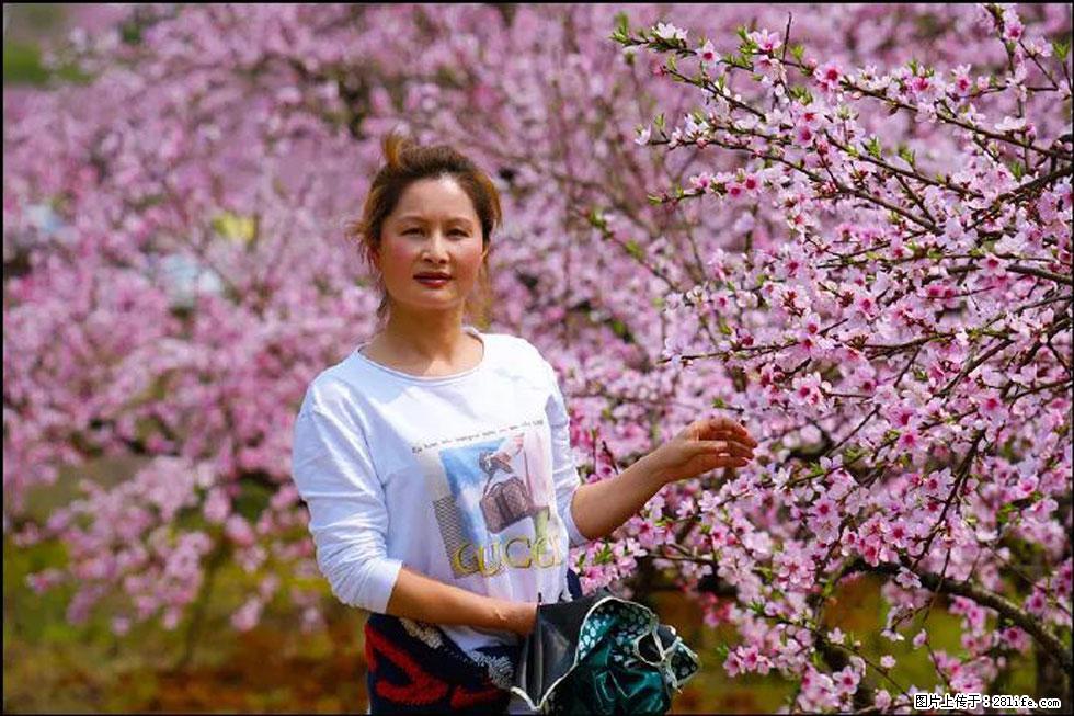 【春天，广西桂林灌阳县向您发出邀请！】官庄村有个醉美的桃花园 - 游山玩水 - 南平生活社区 - 南平28生活网 np.28life.net