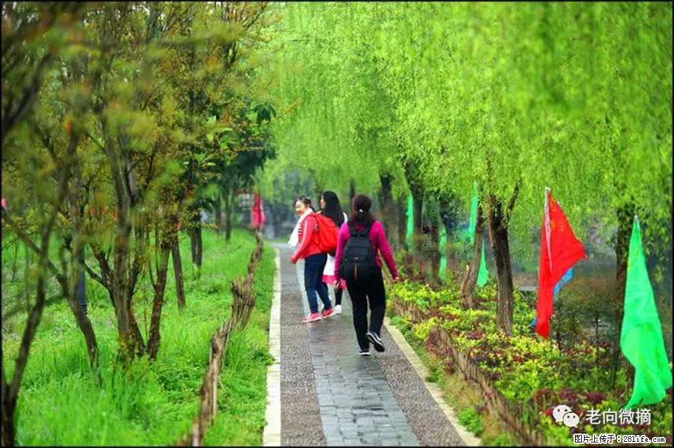 【春天，广西桂林灌阳县向您发出邀请！】江口老街又逢春 - 游山玩水 - 南平生活社区 - 南平28生活网 np.28life.net