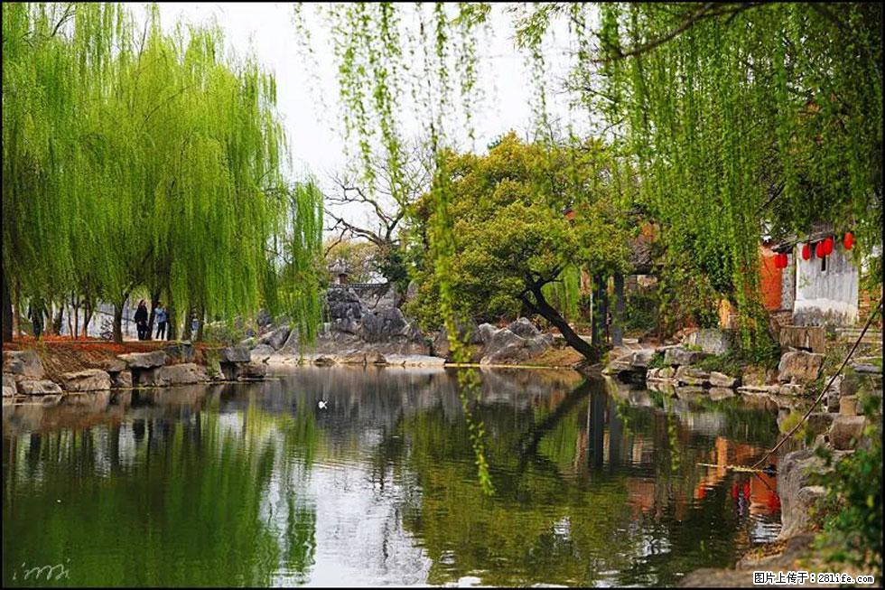 【春天，广西桂林灌阳县向您发出邀请！】江口老街又逢春 - 游山玩水 - 南平生活社区 - 南平28生活网 np.28life.net