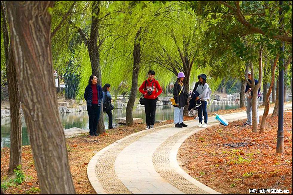 【春天，广西桂林灌阳县向您发出邀请！】江口老街又逢春 - 游山玩水 - 南平生活社区 - 南平28生活网 np.28life.net