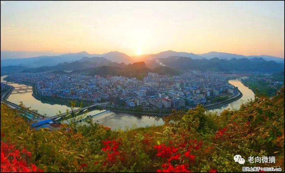 【春天，广西桂林灌阳县向您发出邀请！】登麒麟山，相约映山红 - 游山玩水 - 南平生活社区 - 南平28生活网 np.28life.net