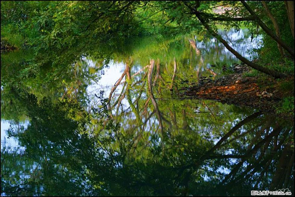 【春天，广西桂林灌阳县向您发出邀请！】熊家寨湿地公园 - 游山玩水 - 南平生活社区 - 南平28生活网 np.28life.net