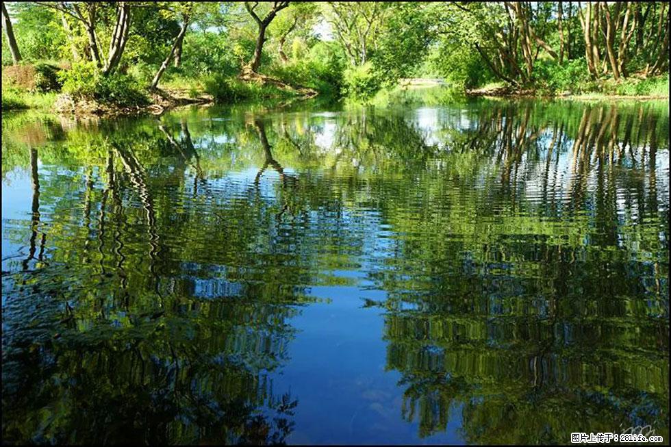 【春天，广西桂林灌阳县向您发出邀请！】熊家寨湿地公园 - 游山玩水 - 南平生活社区 - 南平28生活网 np.28life.net