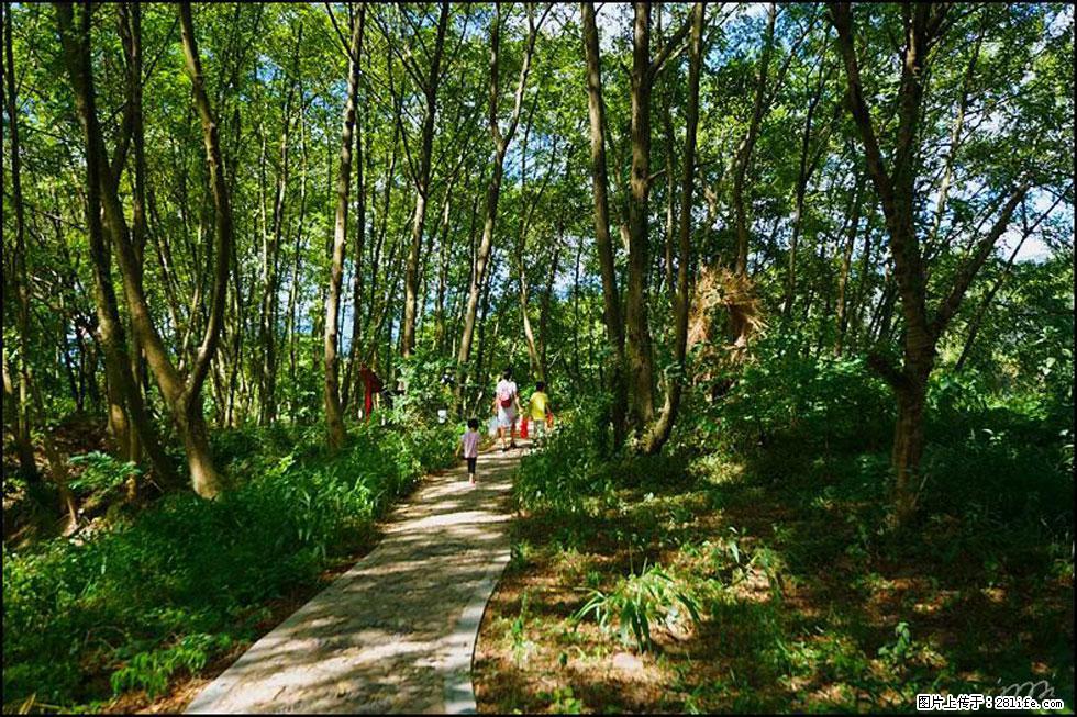 【春天，广西桂林灌阳县向您发出邀请！】熊家寨湿地公园 - 游山玩水 - 南平生活社区 - 南平28生活网 np.28life.net