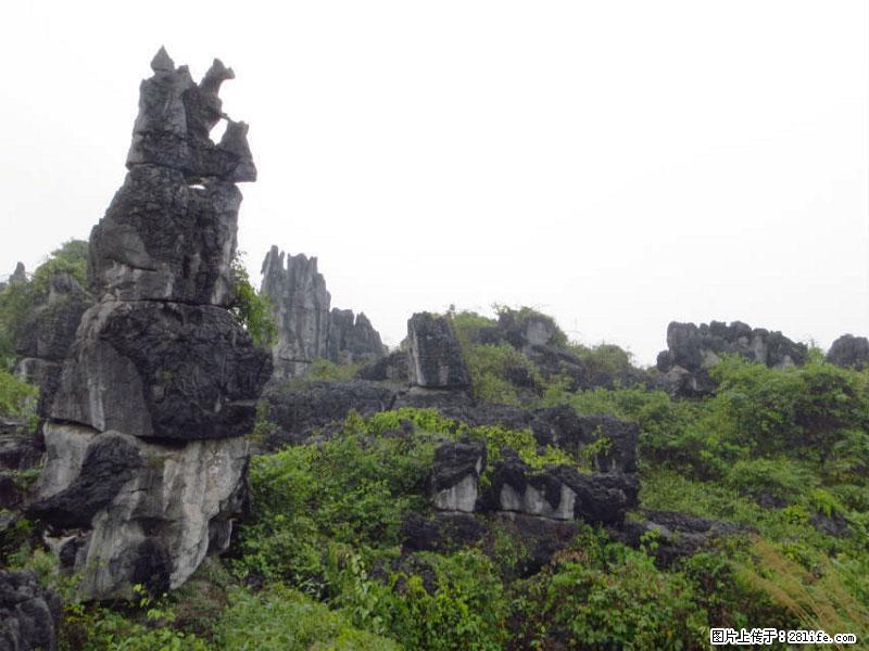 桂林旅游名城景点：灌阳文市石林 - 游山玩水 - 南平生活社区 - 南平28生活网 np.28life.net