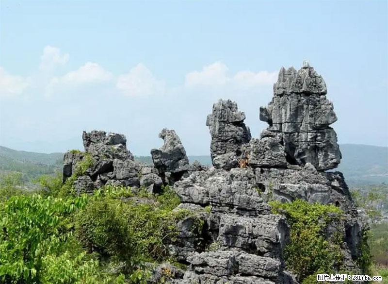 桂林旅游名城景点：灌阳文市石林 - 游山玩水 - 南平生活社区 - 南平28生活网 np.28life.net