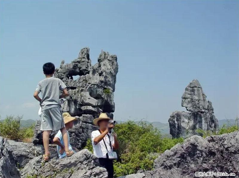 桂林旅游名城景点：灌阳文市石林 - 游山玩水 - 南平生活社区 - 南平28生活网 np.28life.net
