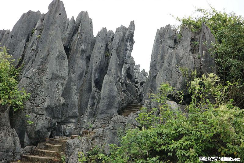 桂林旅游名城景点：灌阳文市石林 - 游山玩水 - 南平生活社区 - 南平28生活网 np.28life.net