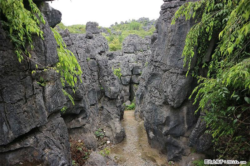 桂林旅游名城景点：灌阳文市石林 - 游山玩水 - 南平生活社区 - 南平28生活网 np.28life.net