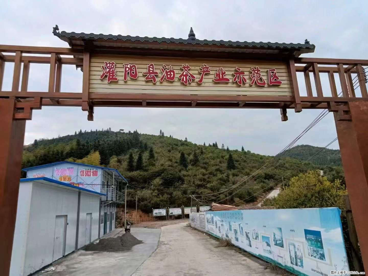 【灌阳县油茶产业示范区】一个有着充实的精神生活的人，对待身外之物自会有一种淡泊的态度 - 美食天地 - 南平生活社区 - 南平28生活网 np.28life.net