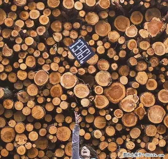 辞掉工作周游世界？现在他们在洗厕所…… - 游山玩水 - 南平生活社区 - 南平28生活网 np.28life.net