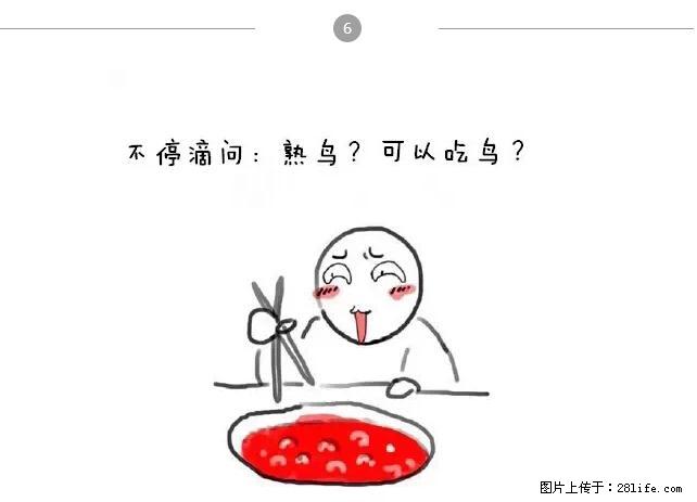 千万不要和这9种哈卵一起吃火锅！ - 美食天地 - 南平生活社区 - 南平28生活网 np.28life.net