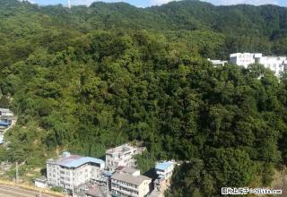 丽景水岸高层阳光好三房面对九峰山天然氧吧 - 南平28生活网 np.28life.net