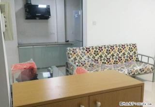 香樟名苑超豪华全新装修全新家电齐全1室2厅1阳光超好大阳台 - 南平28生活网 np.28life.net