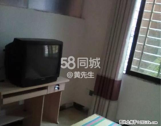 金茂广场 1室0厅1卫 - 房屋出租 - 房屋租售 - 南平分类信息 - 南平28生活网 np.28life.net