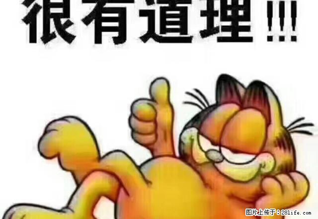 光明小学附近皇华公寓，4楼，简单装修 - 房屋出租 - 房屋租售 - 南平分类信息 - 南平28生活网 np.28life.net