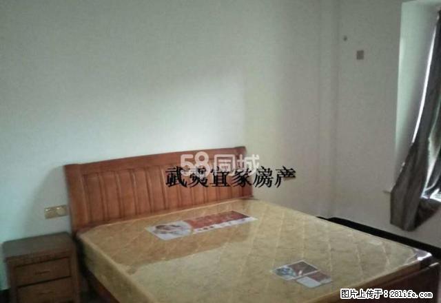 优质主推：万晟星城隔壁，大地崇阳小区，3室2厅2拎包入住 - 房屋出租 - 房屋租售 - 南平分类信息 - 南平28生活网 np.28life.net