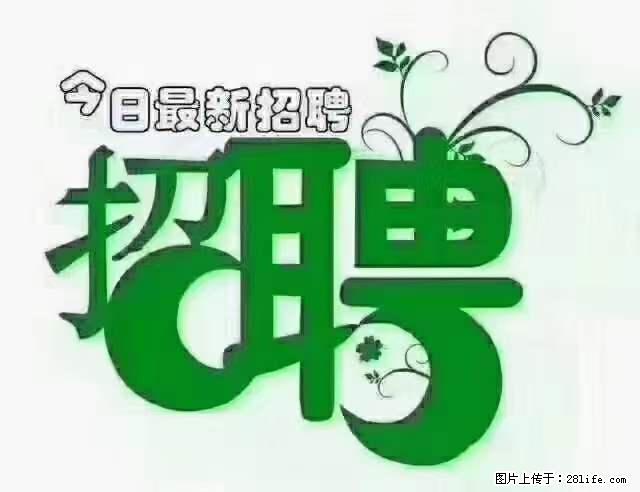 【招聘摄像师】待遇：试用期6000元/月，转正7000元/月+五险一金+餐补+节日福利+奖金 - 其他招聘信息 - 招聘求职 - 南平分类信息 - 南平28生活网 np.28life.net