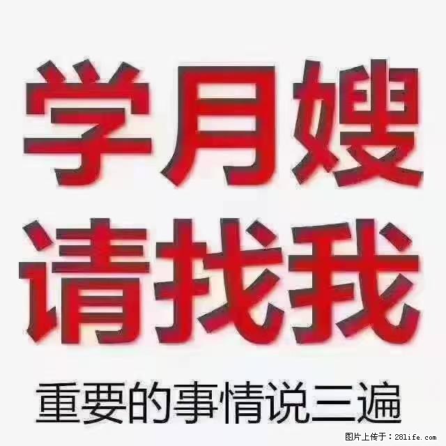 【招聘】月嫂，上海徐汇区 - 职场交流 - 南平生活社区 - 南平28生活网 np.28life.net