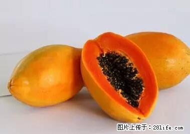 晕车、脚气、牙齿变黄、皮肤粗糙？学会这些三分钟搞定！ - 南平生活资讯 - 南平28生活网 np.28life.net