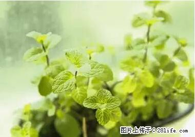 晕车、脚气、牙齿变黄、皮肤粗糙？学会这些三分钟搞定！ - 南平生活资讯 - 南平28生活网 np.28life.net