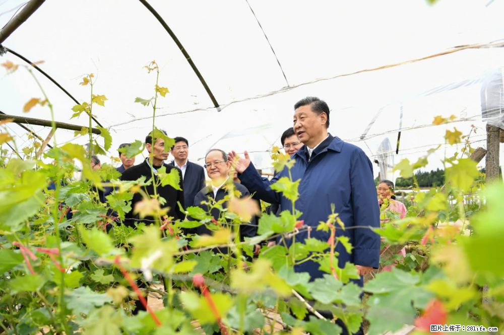 习近平赴广西考察调研 - 南平生活资讯 - 南平28生活网 np.28life.net