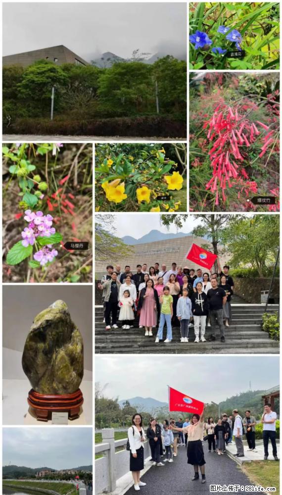 “粤灌文化 美好生活”油茶文化主题活动在广东深圳成功举办 - 南平生活资讯 - 南平28生活网 np.28life.net