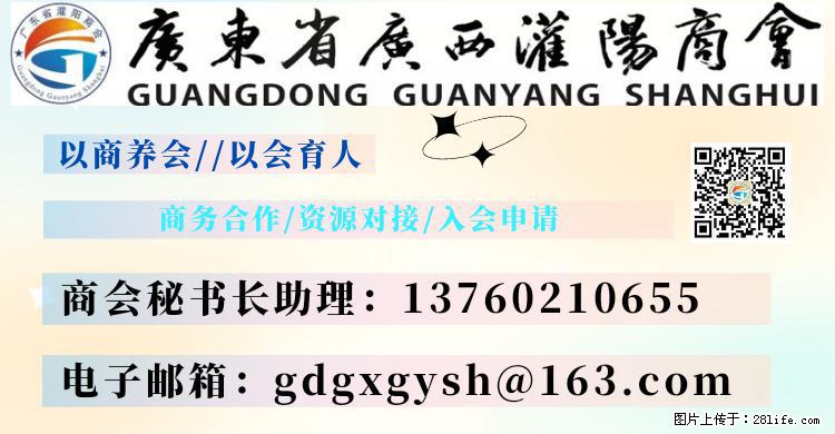 “粤灌文化 美好生活”油茶文化主题活动在广东深圳成功举办 - 南平生活资讯 - 南平28生活网 np.28life.net