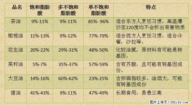 揭秘茶油的5大核心营养成分！被称为人体健康的“守护盾”！ - 南平生活资讯 - 南平28生活网 np.28life.net