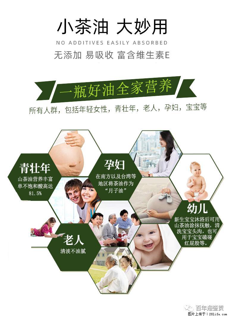 世界没有真相，只有认知，最好的食用油是中国的山茶油！ - 南平生活资讯 - 南平28生活网 np.28life.net