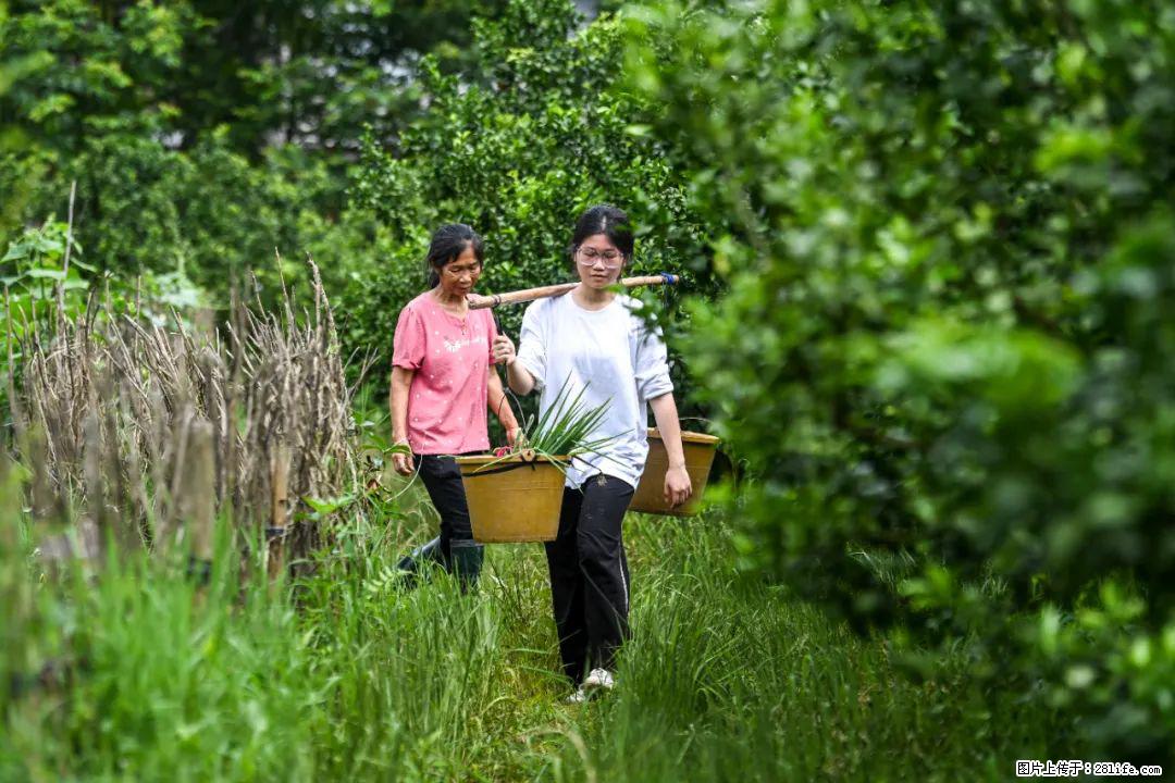 全网追的“扁担女孩”，找了一份暑假工，时薪12元 - 南平生活资讯 - 南平28生活网 np.28life.net