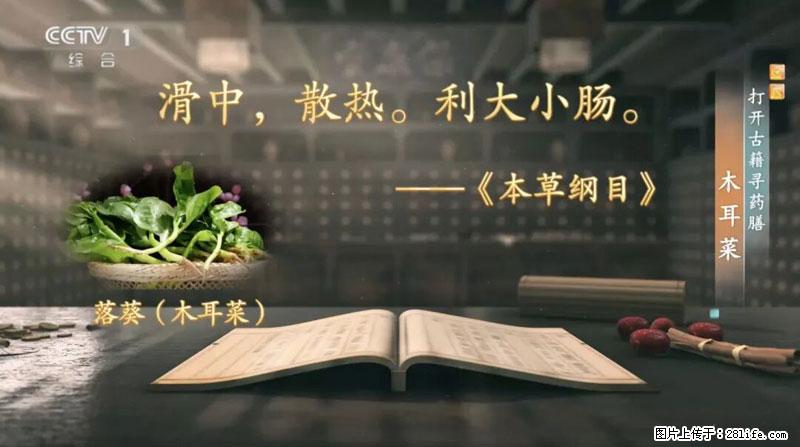比牛奶补钙还厉害！凉血解毒、稳血糖...这菜冬天必吃，很多人却当草 - 南平生活资讯 - 南平28生活网 np.28life.net