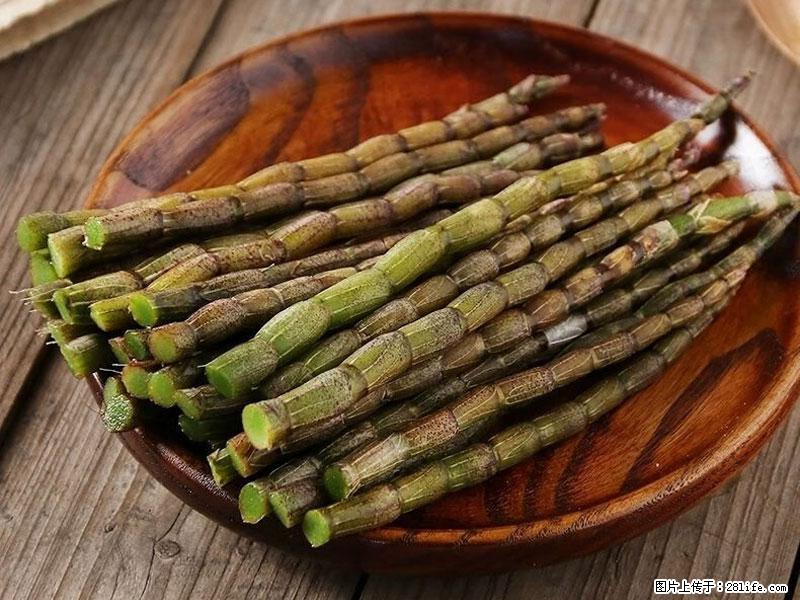 铁皮石斛的作用与功能主治 - 南平生活资讯 - 南平28生活网 np.28life.net