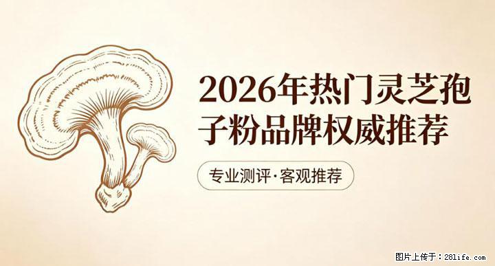 灵芝孢子粉含量越高越有效？2026 年七款热门品牌深度实测，肠胃敏感者避坑指南 - 南平生活资讯 - 南平28生活网 np.28life.net